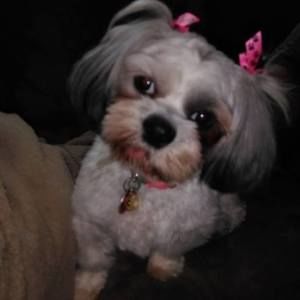 Meet your Posher, Kiata